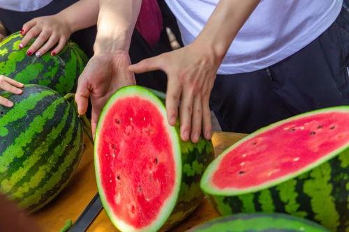 学校吃瓜视频,揭秘学校吃瓜视频背后的故事 第3张 学校吃瓜视频,揭秘学校吃瓜视频背后的故事 第3张